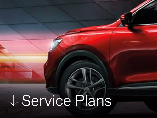 Service Plan
