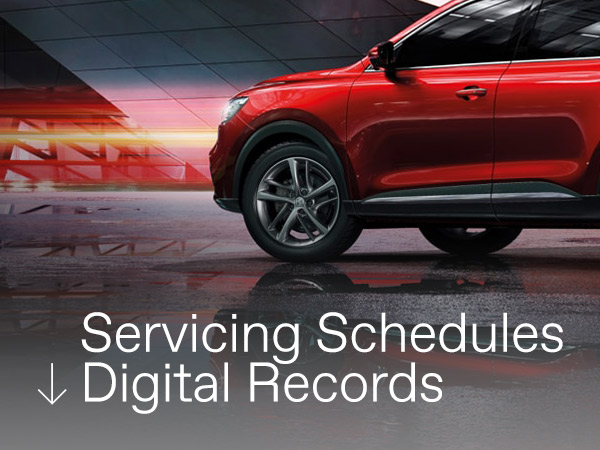 Service & Digital