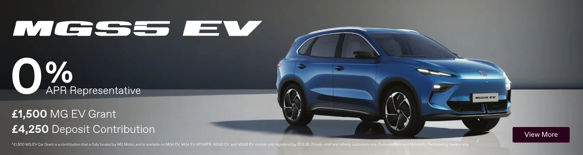 MGS5 EV
